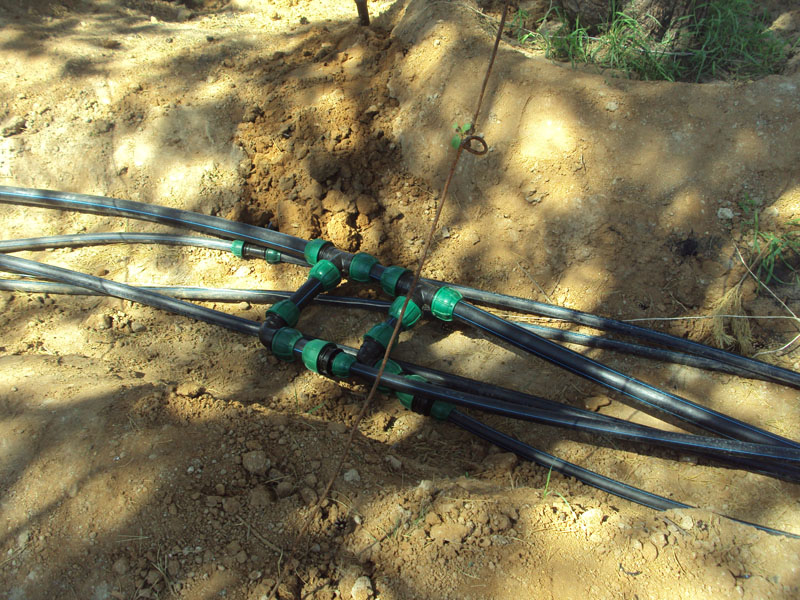 Полив участка