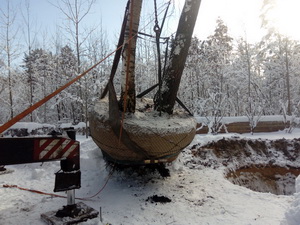 Пересадка деревьев (крупномеров)